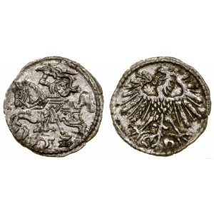 Polska, denar, 1552, Wilno