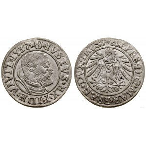 Herzogliches Preußen (1525-1657), Pfennig, 1537, Königsberg