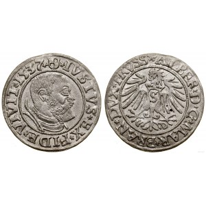 Prusy Książęce (1525-1657), grosz, 1537, Królewiec