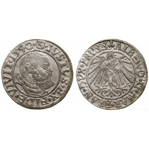 Knížecí Prusko (1525-1657), groš, 1540, Königsberg
