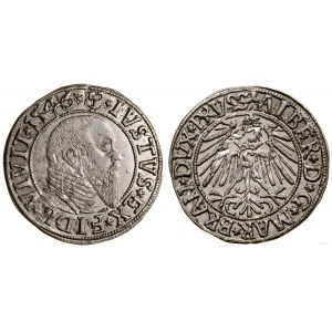 Knížecí Prusko (1525-1657), groš, 1546, Königsberg