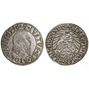 Prusy Książęce (1525-1657), grosz, 1546, Królewiec