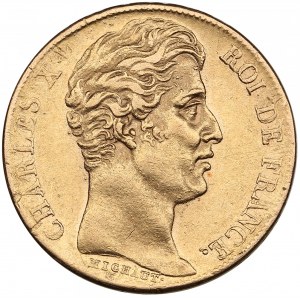 France 20 Francs 1828 A - Charles X (1824-1830)