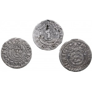 Small gorup of coins: Reval and Riga under Swedish rule (3)