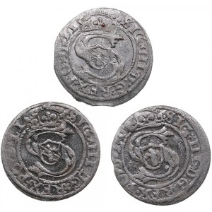 Riga, Poland Solidus 1599 - Sigismund III (1587-1632) (3)