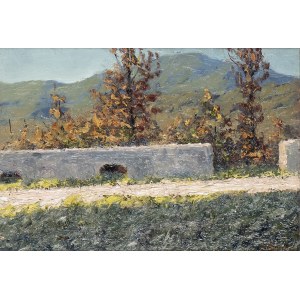 LIDIO AJMONE (Coggiola, 1884 - Andezeno, 1945), Landscape