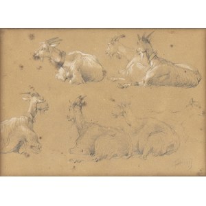 FILIPPO PALIZZI (Vasto, 1818 - Naples, 1899), Study about goats