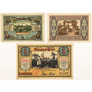 PAPER MONEY, Silesia 1914-23, 1307 pieces