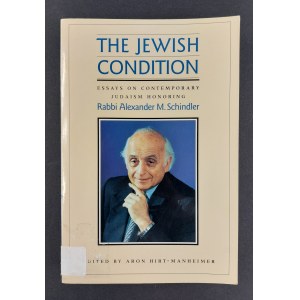 Rabín Alexander M. Schindler, Židovský stav