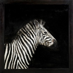 Miguel Macaya, ZEBRA