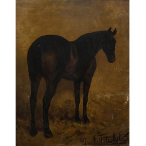 Antoni Piotrowski (1853 Nietulisko Duże - 1924 Warsaw), Antoni Piotrowski | Study of a Horse, 1887.