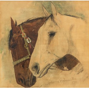 Juliusz Holzmüller (1876 Bolechów - 1932 Lviv), Juliusz Holzmüller | Study of two horse heads