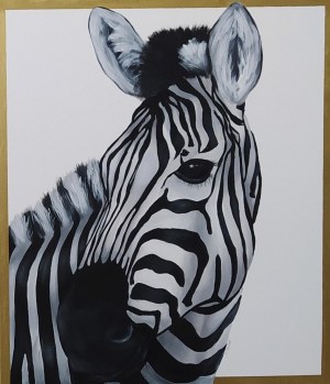 Natalia Szabat, Zebra