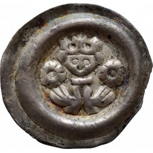 Přemysl Otakar II. 1253-1278, brakteát moravský Cach 921