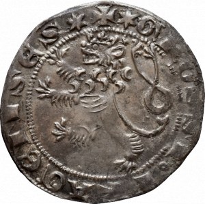 Václav II. 1278-1305, pražský groš