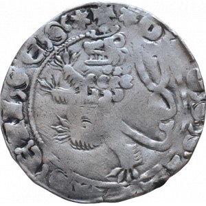 Jan Lucemburský 1310-1346, pražský groš