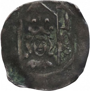 Václav IV. 1378-1419, Česká Falc