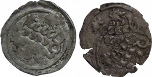 Mezivládí 1439-1452, peníz se lvem