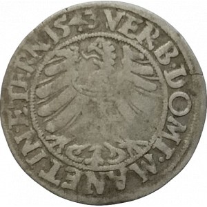 Lehnice-Břeh, Friedrich II. 1495-1547, groš 1543