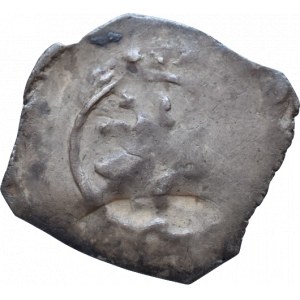 Přemysl Otakar II. 1260-1276, fenik CNA B 159