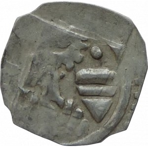 Štýrsko, Albrecht I. 1282-1298, půlfenik CNA D 51