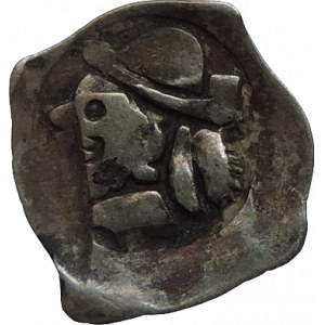 Albrecht II. 1330-1358, fenik CNA B 239