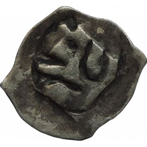 Albrecht II. 1330-1358, fenik CNA B 256
