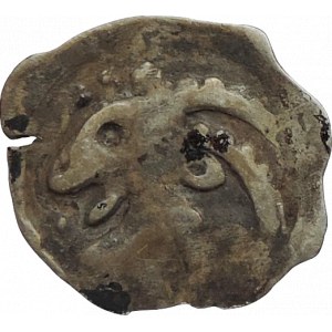 Albrecht III. 1365-1395, fenik CNA B 265