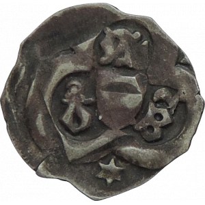 Albrecht V. 1411-1439, fenik CNA-Fa 6 se čtyřrázem