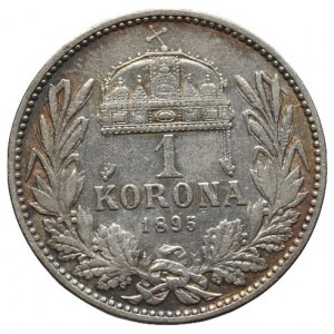 FJI 1848-1916, 1 kor. 1895 KB