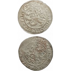 Sasko-Míšeň, Friedrich III. 1349-1380, míšeňský groš SJ 4361/2325