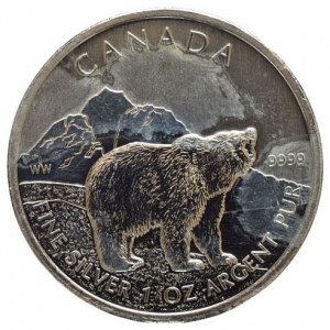 Kanada, 5 dolar 2013 - Medvěd
