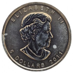 Kanada, 5 dolar 2013 - Medvěd