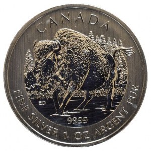 Kanada, 5 dolar 2013 - Bizon
