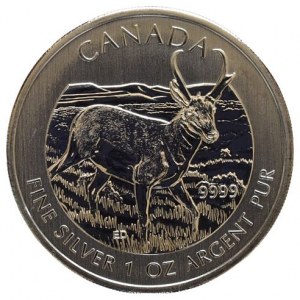 Kanada, 5 dolar 2013 - Antilopa