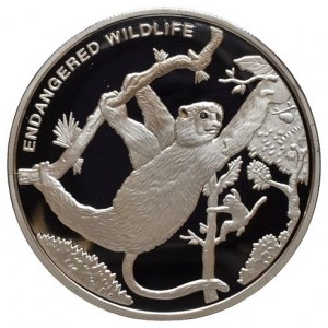 Kongo, 10 francs 2010 - Lenochod
