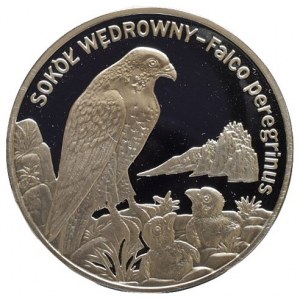 Polsko, 20 zlotých 2008 - Sokol stěhovavý