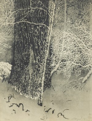 Wyczółkowski Leon, SĘDZIELINA, 1924