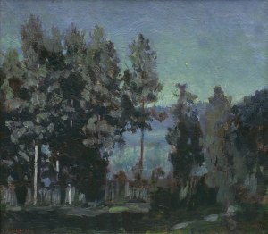 Żukowski Stanisław, NOC NAD JEZIOREM, 1919