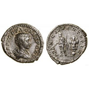 Rímska ríša, denár, 200-202, Rím