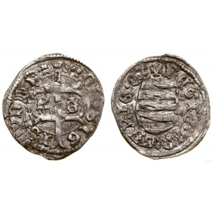 Węgry, denar, bez daty (1431-1434), Kremnica