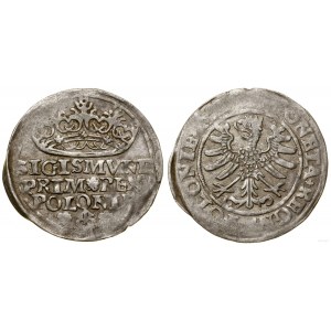 Poľsko, penny, 152... (1527-1529), Krakov