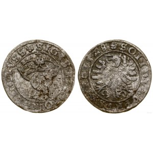 Polska, szeląg, 1528, Toruń