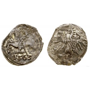 Poland, denarius, 1563, Vilnius