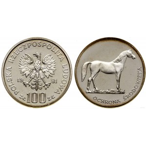 Polen, 100 Zloty, 1981, Warschau