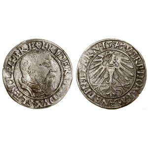 Slezsko, penny, 1545, Brzeg
