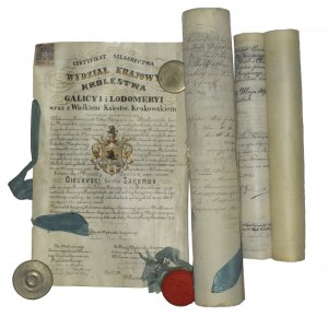 LVIV, GALICIA. Set of three manuscript certificates of nobility of the Bielawski family of Zaremba coat of arms; all documents on parchment, very ornate