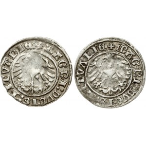 Lithuania Polgrosz 1511, 1512 Vilnius Lot of 2 coins