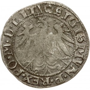 Lithuania Grosz 1536 I Vilnius (R2)
