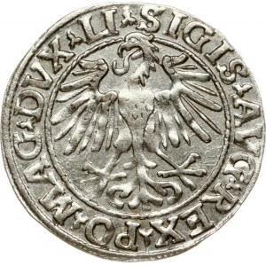 Lithuania Polgrosz 1548 Vilnius (R)